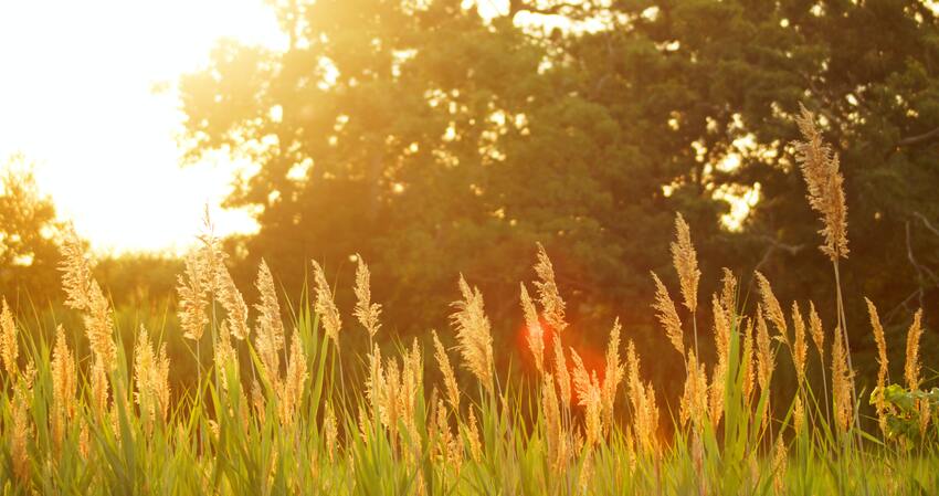 Warm Weekend Was Hottest In Years header image